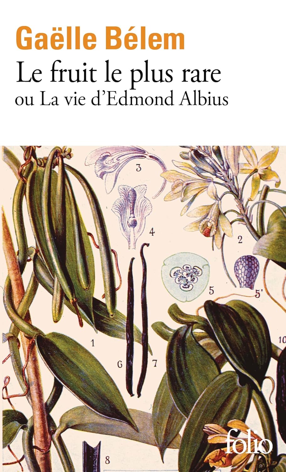 Le fruit le plus rare ou la vie d&rsquo;Edmond Albius
