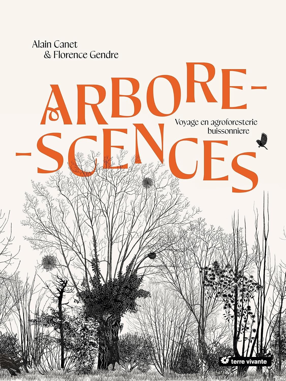 Arborescences